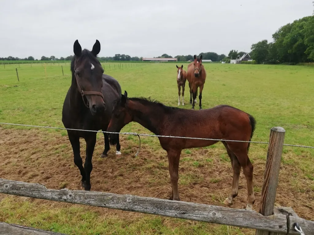Plates Gasthof - Ferienwohnung - Familienfeiern - Hochzeiten - Kegelbahn_Beverstedt_slider_image_3