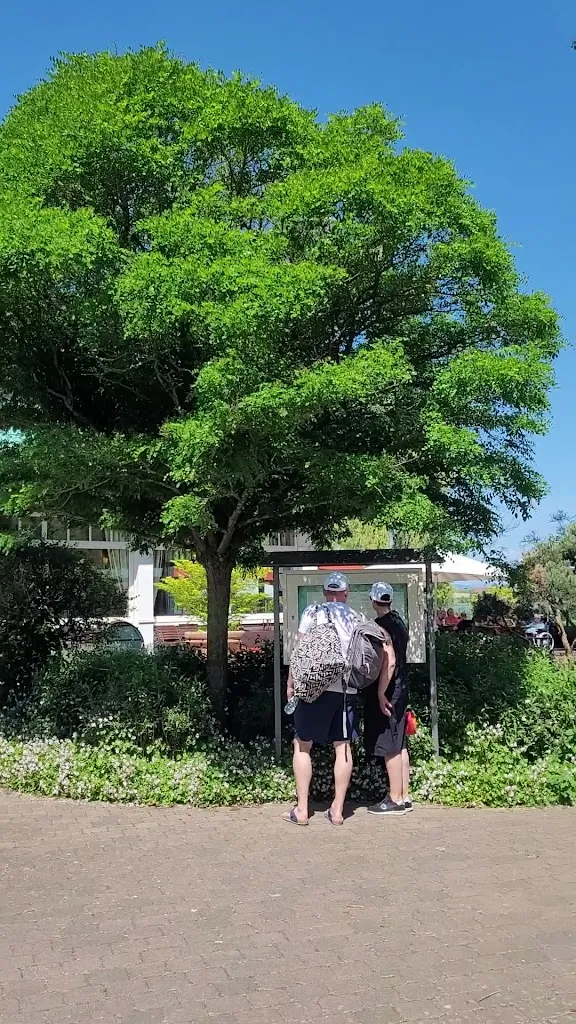 Graf Isang_Seeburg_slider_image_2