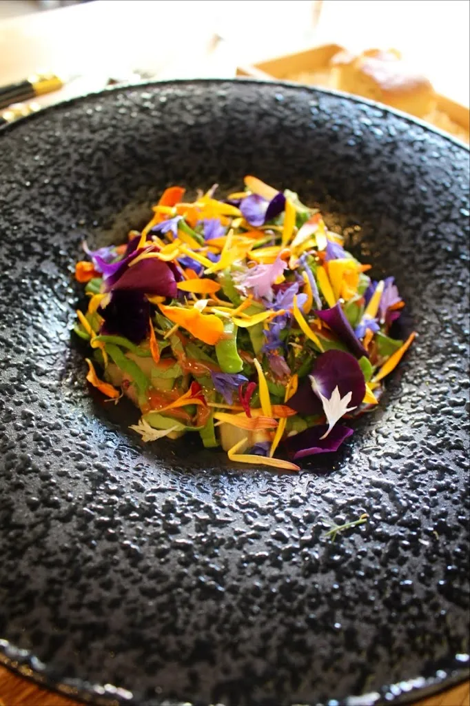 Michelle Sanabria_MOON_Norway_review