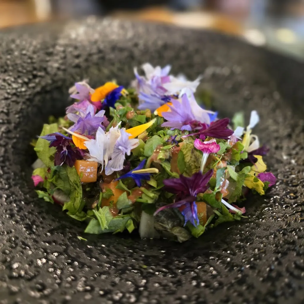 Amy_MOON_Norway_review