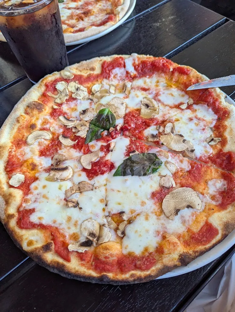 Claire Walker_Olivia Zachariasbryggen_Norway_review