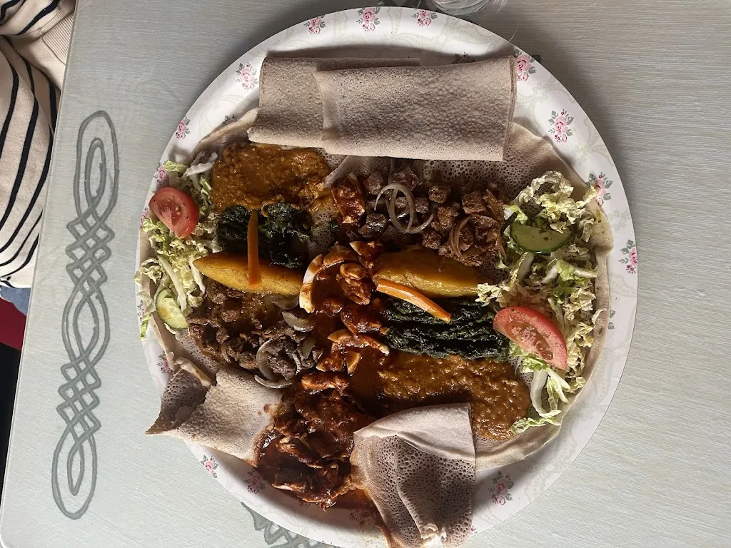 Omid HZ_Horn of Africa_Norway_review