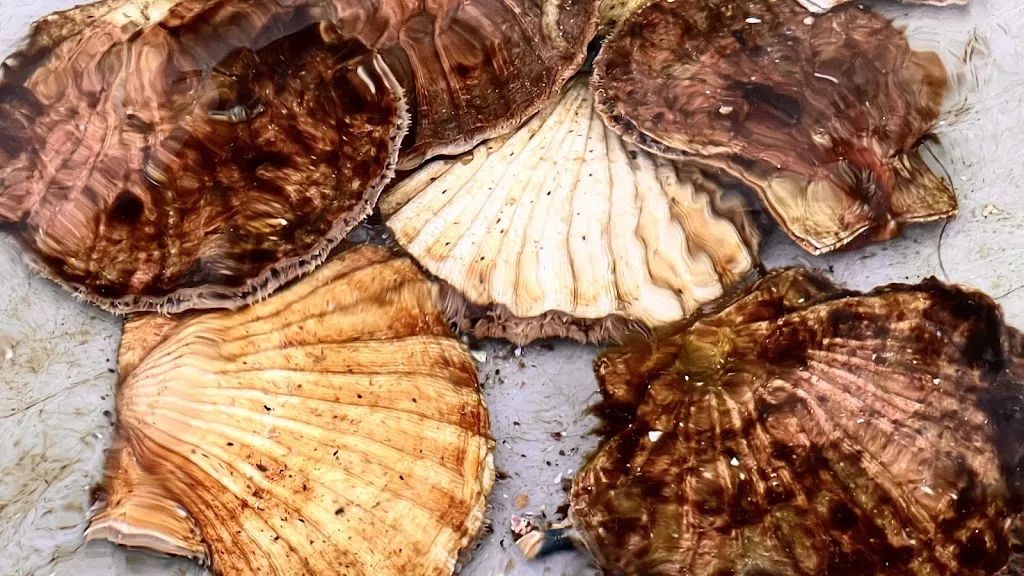 Menu_Cornelius Sjømatrestaurant_Norway_immagine_6