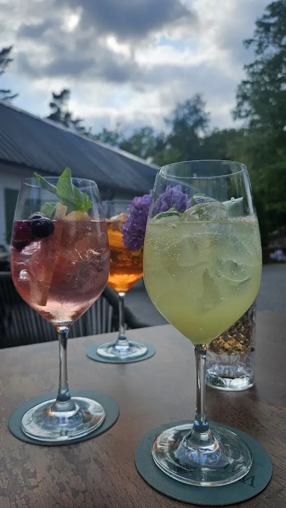 Menu_Waldfrieden Elbe_Bleckede_image_1