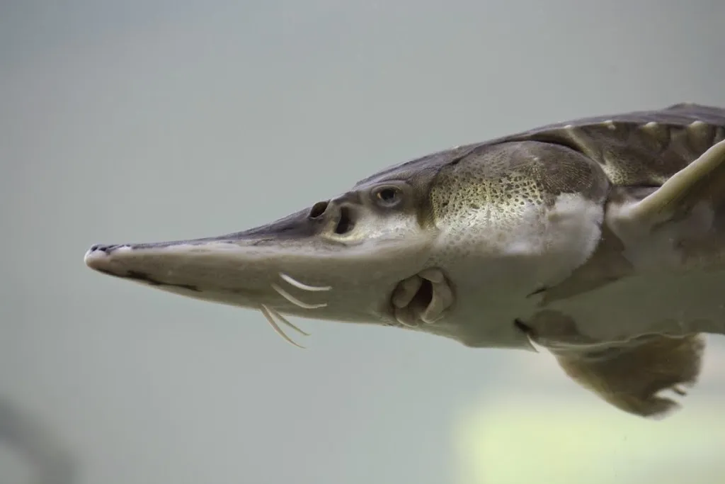 Biosphaerium Elbtalaue GmbH_Bleckede_slider_image_1