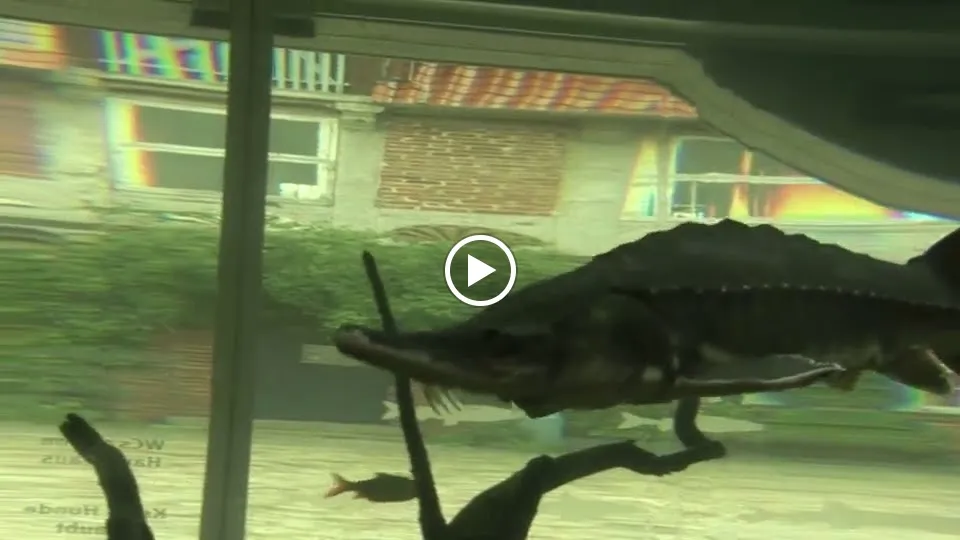 Biosphaerium Elbtalaue GmbH_Bleckede_slider_image_2