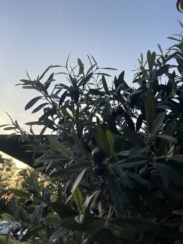 rumesh priyankara_Landgasthof Haarmühle_Ahaus_review