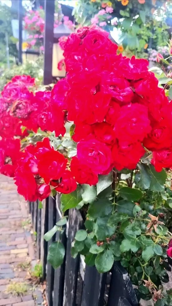 Pizzeria En Grill La Bella_Netherlands_slider_image_2