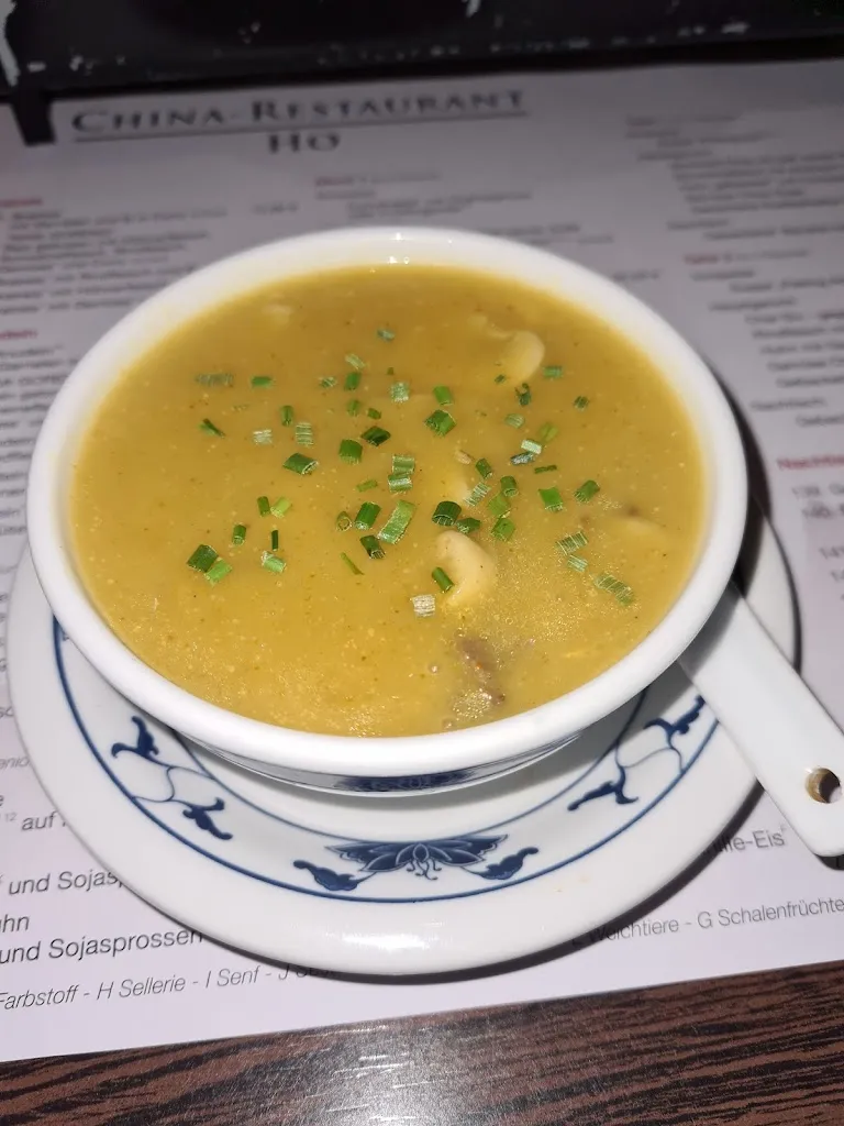 Menu_China Restaurant Ho_Bramstedt_immagine_6