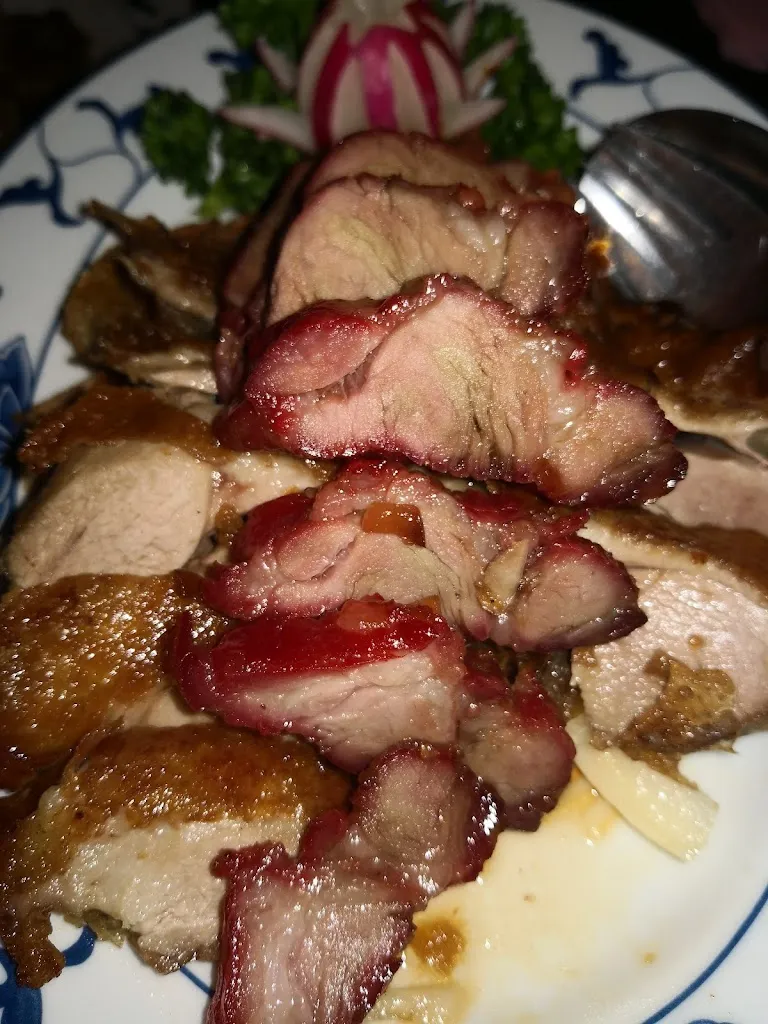 Menu_China Restaurant Ho_Bramstedt_immagine_7