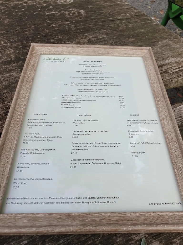 Menu_Restaurant Wilde Triebe - Osnabrück_Osnabrück_image_1