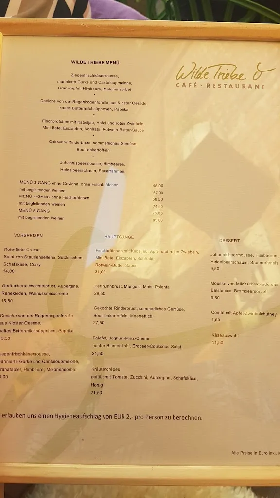 Menu_Restaurant Wilde Triebe - Osnabrück_Osnabrück_image_2