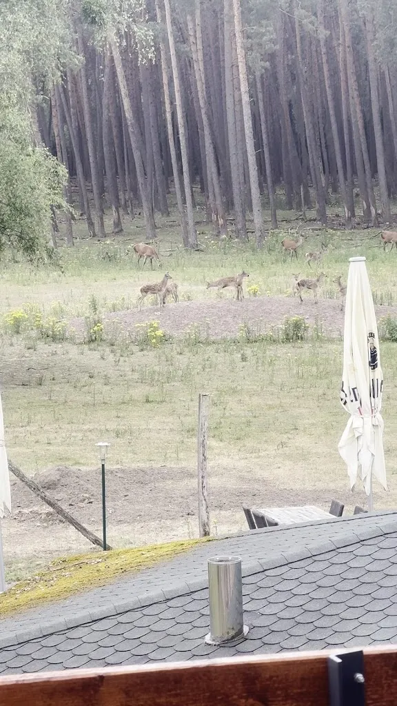 Elke “Miss Ellie” A._Hotel Hubertus_Brome_review