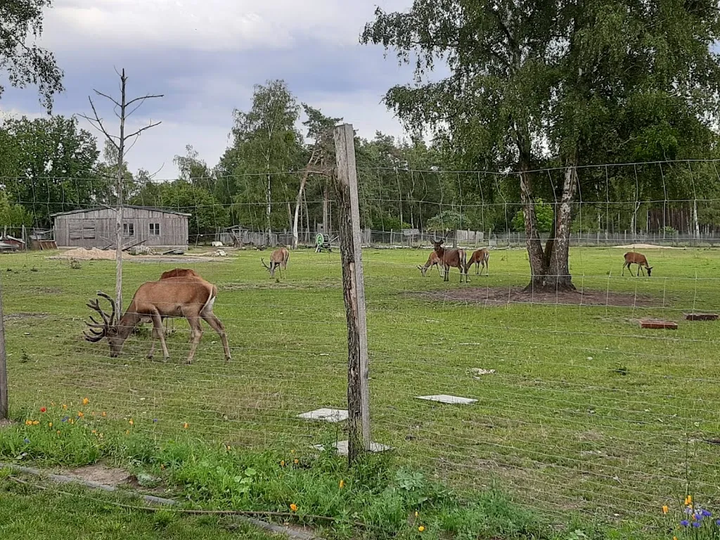 Hotel Hubertus_Brome_slider_image_3