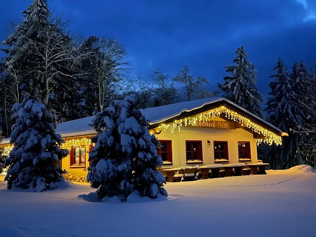 Sonneneck Alm_Braunlage_slider_image_3