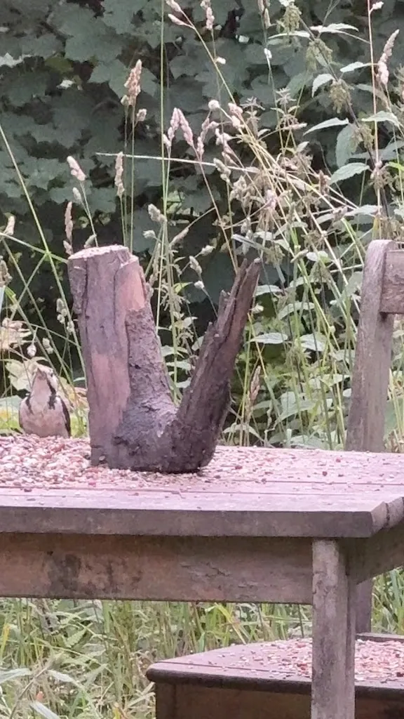 Michael lll_Waldhaus Wolfsbachmühle_Braunlage_Bewertung