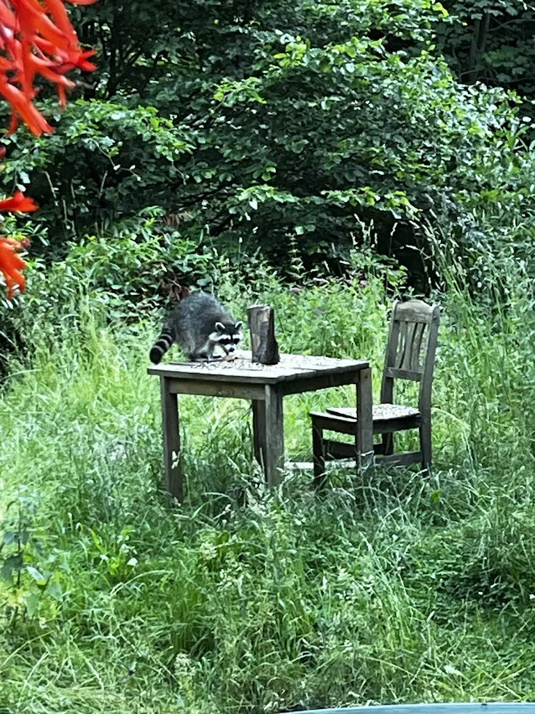 Bernd G_Waldhaus Wolfsbachmühle_Braunlage_Bewertung