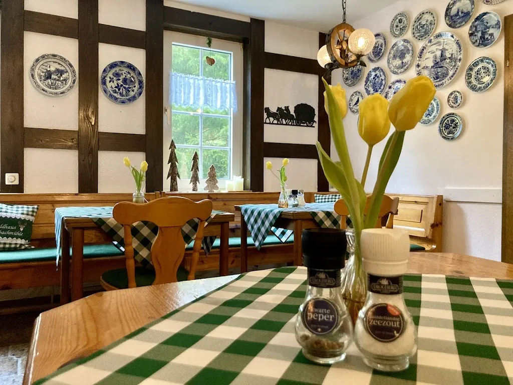 Waldhaus Wolfsbachmühle restaurant in Braunlage
