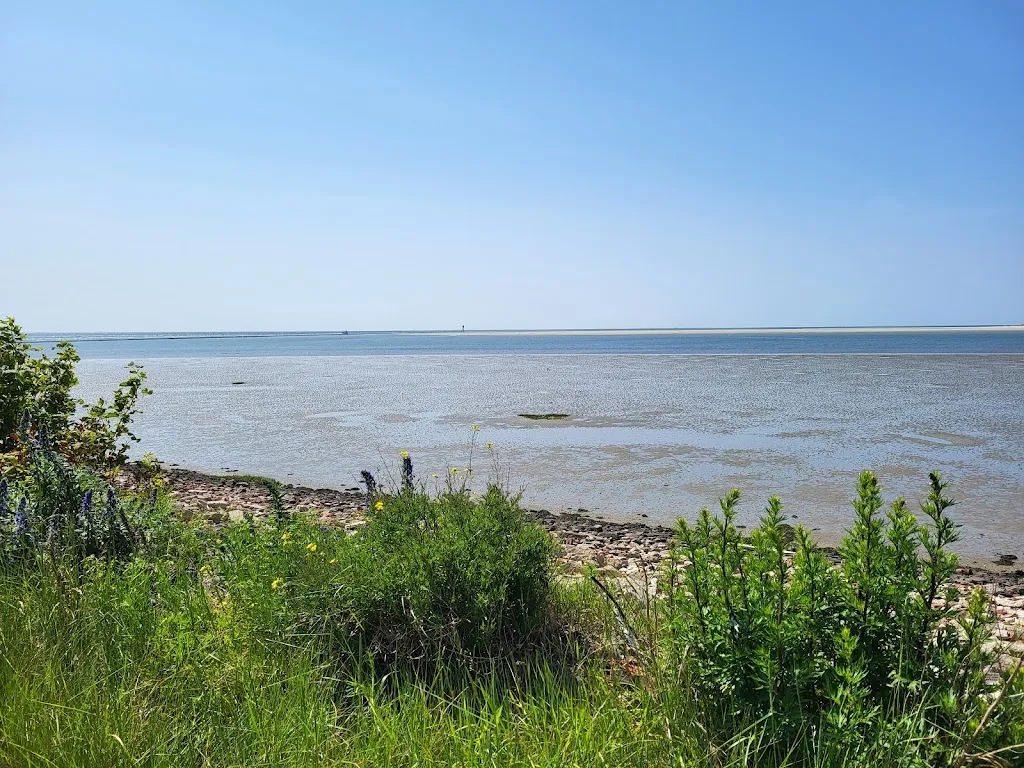 Rolf Wilhelm Kerkmann_Yachthafen-Restaurant Borkum_Borkum_review