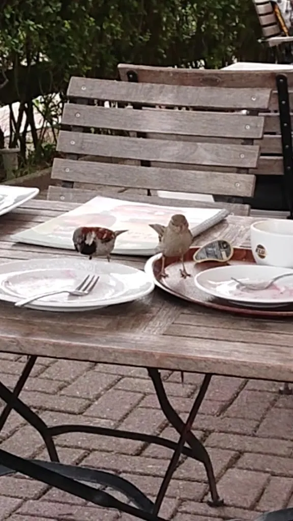 Hofcafe Bauernstuben im Ostland_Borkum_slider_image_2