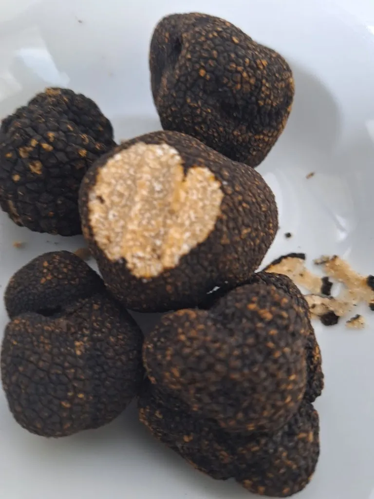 Menu_Restaurant Die Kleine Möwe_Borkum_image_7