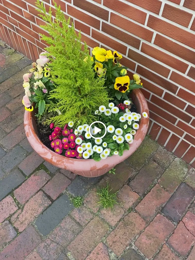 Restaurant Die Kleine Möwe_Borkum_slider_image_2