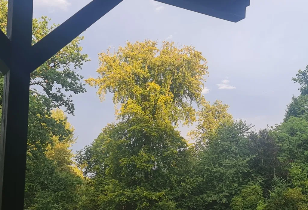 Restaurant Mira_Bückeburg_slider_image_3