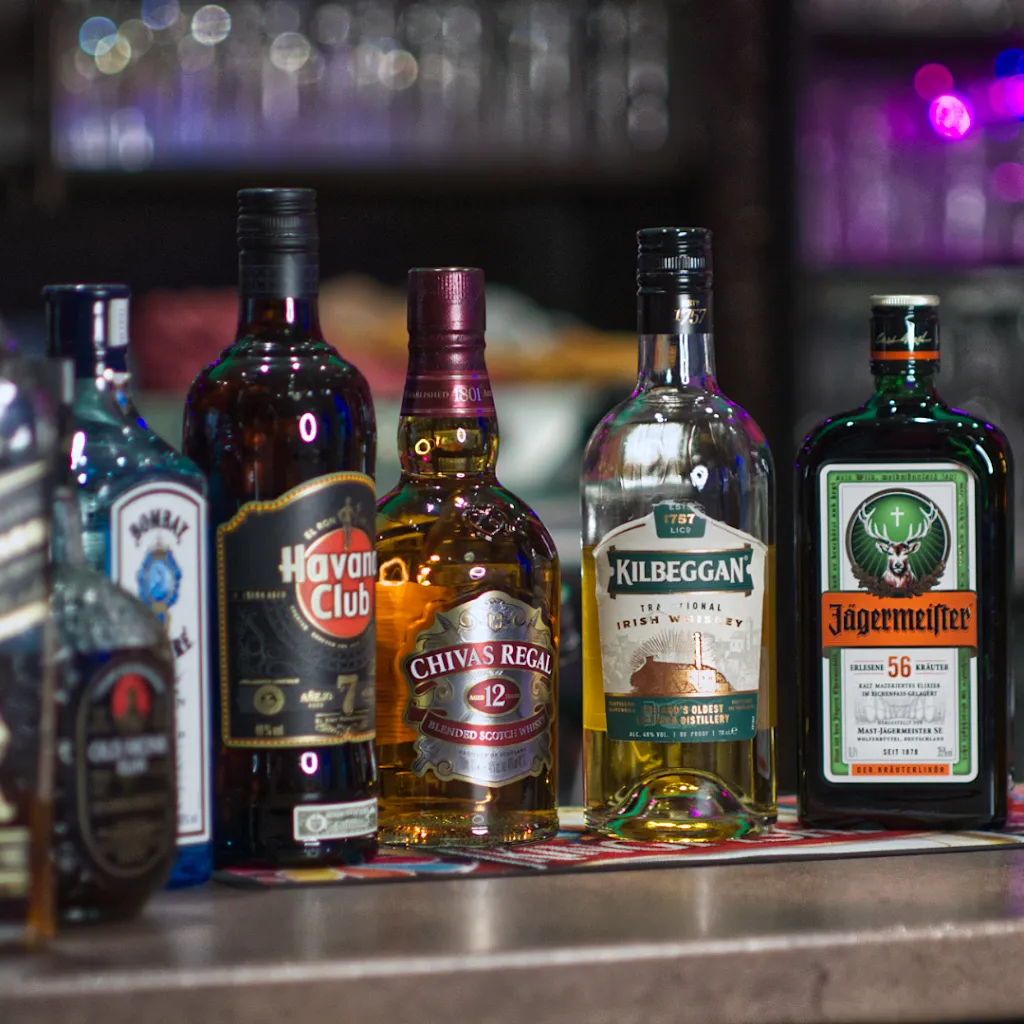 Leyla South Indian Restaurant_Celle_slider_image_3