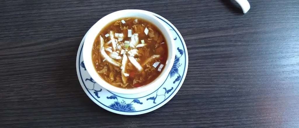 Menu_China Palace Restaurant_Buxtehude_immagine_5