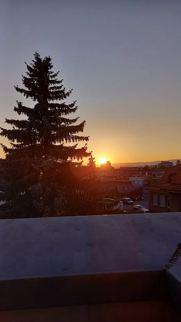 Agata Gnatzy-Turan_Hotel Berchtold & B5_Burgdorf_recensione