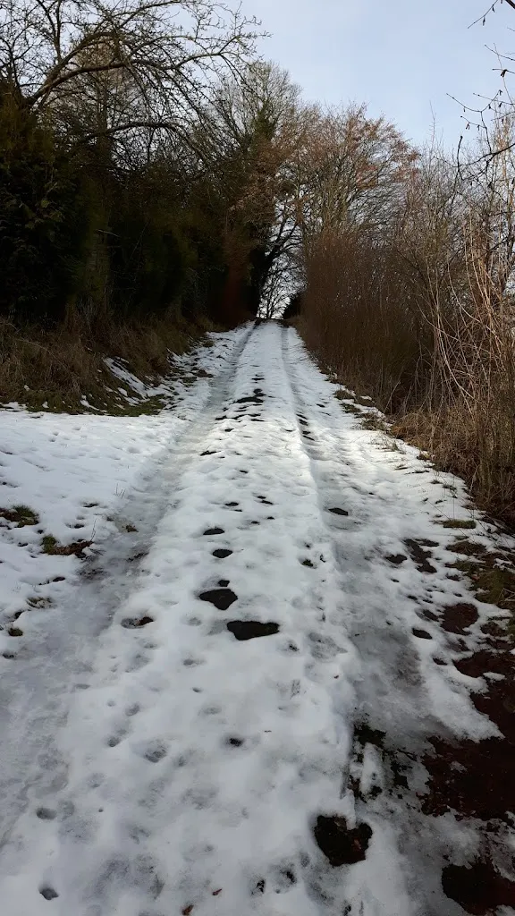 Grenzkrug_Dassel_slider_image_3