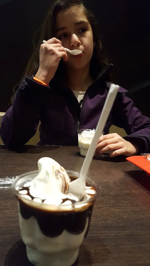 Menu_McDonald's_(Elbe)_image_9