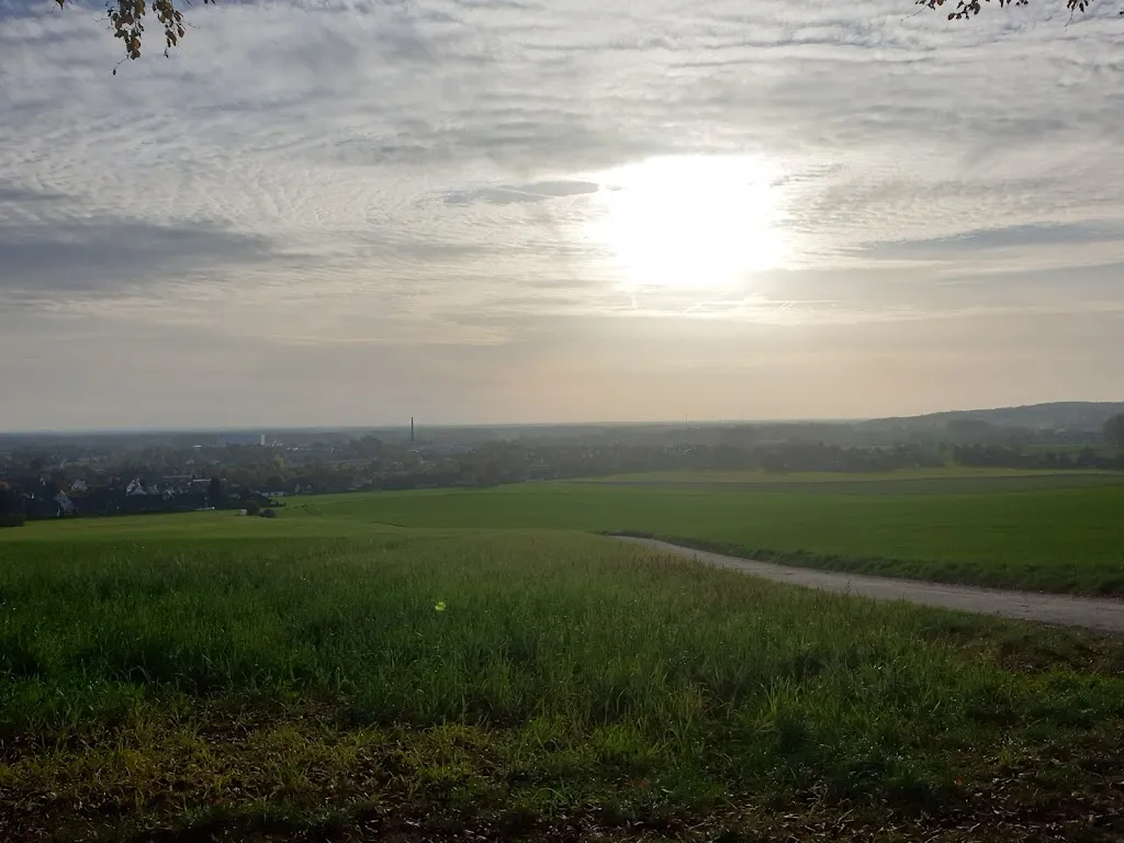 Waldgasthaus Röwekamp_Wald_slider_image_3