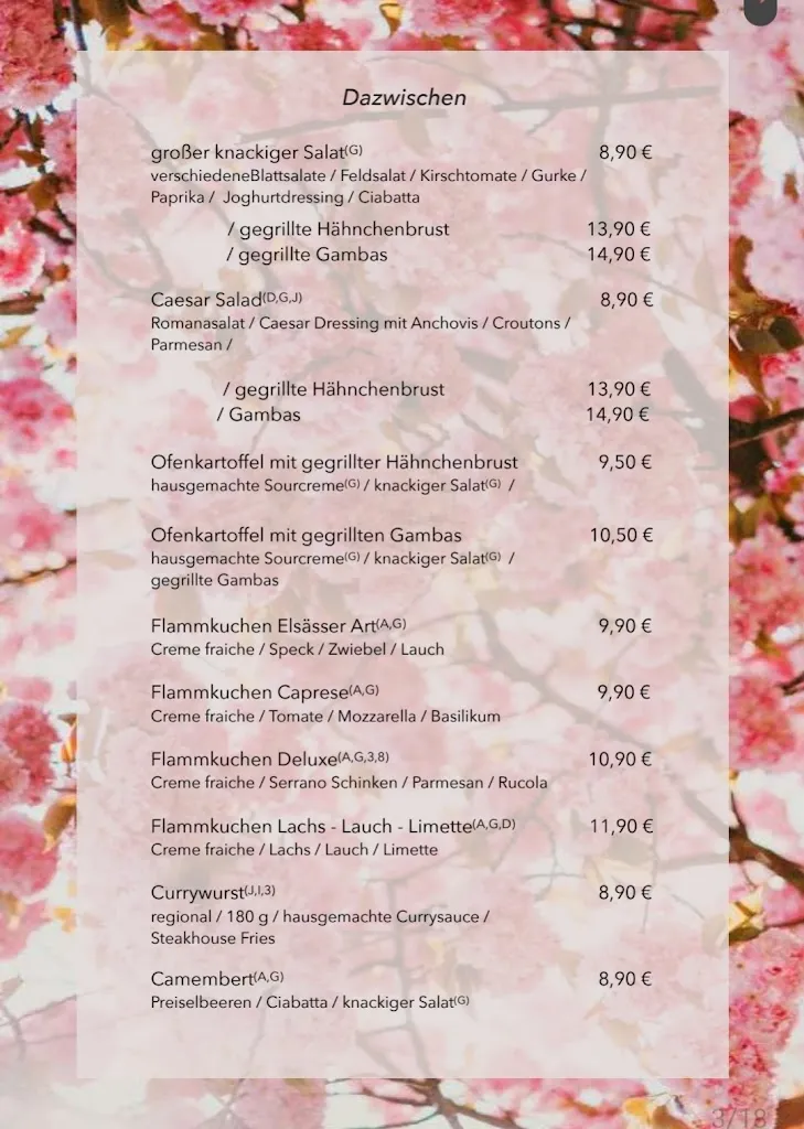 Menu_Seeblick Restaurant Am Irenensee_Uetze_image_2
