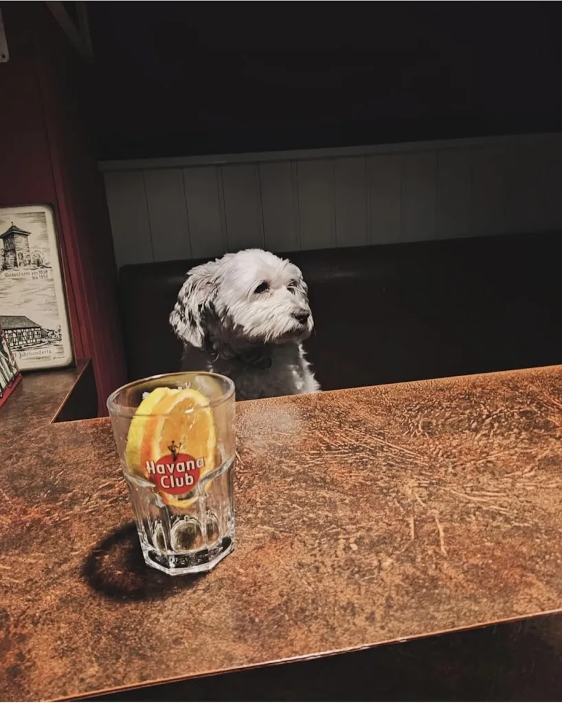 Menu_Kneipe zum Bahnhof 40_Uetze_immagine_4