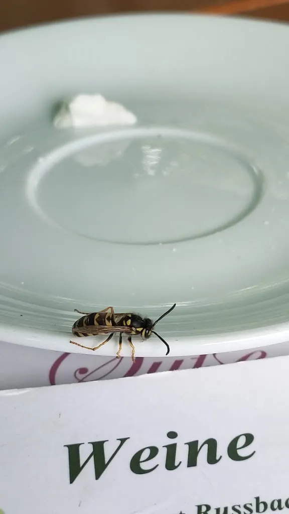 De Koffiestuv Gastro GmbH_Nordseeküste_slider_image_2