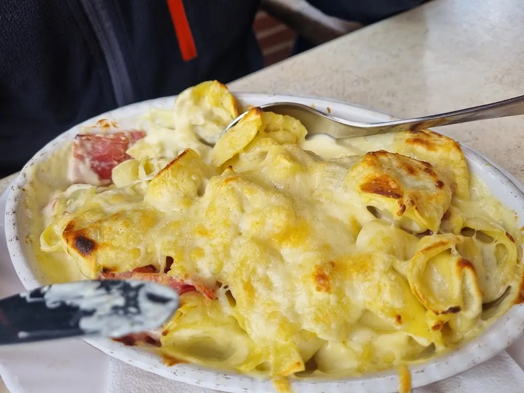 Mel_Tulipano_Dornum_review