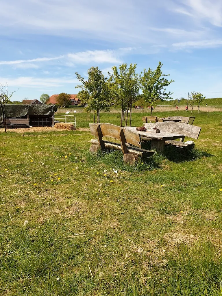 Renate Gutzeit_Café Kunterbunt am Deich - Brötchen-Lieferservice, Frühstück, Pfannkuchen, Snacks, Kaffee & Kuchen_Dornum_recensione