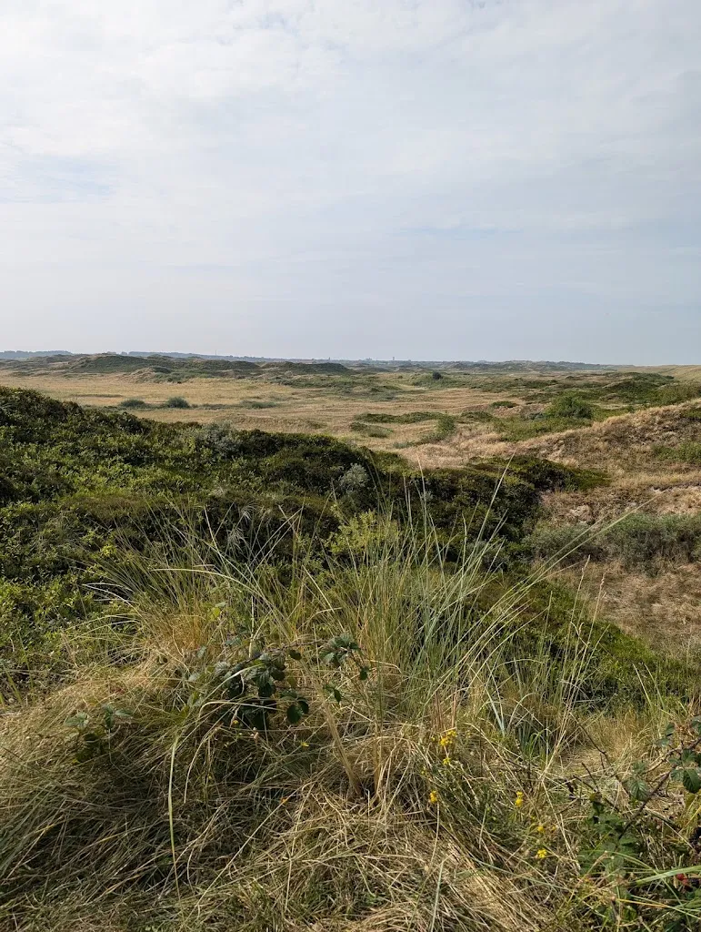 Jörg H._Hafen Bensersiel_Esens_recensione