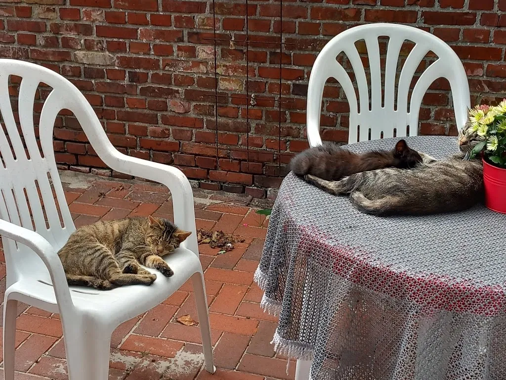 Bauerncafé Sabelhaus_Kluse_slider_image_2