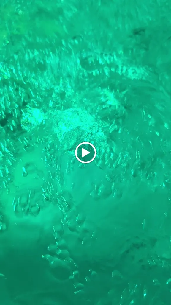 Tree Inn - Das Baumhaushotel_Dörverden_slider_image_2