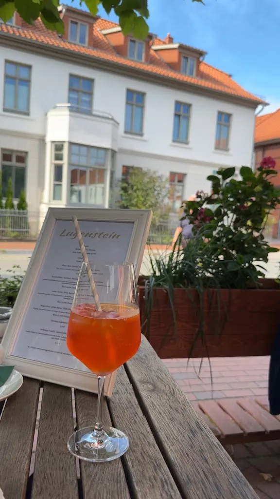 Julia Meinberg_Lugenstein_(Aller)_review