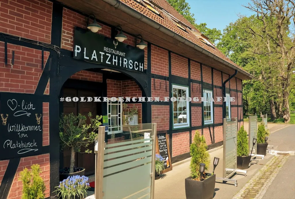 Platzhirsch Restaurant restaurant in Edemissen