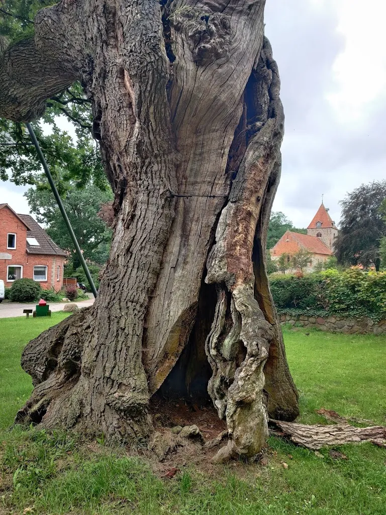 Cafe Behr_Dötlingen_slider_image_2