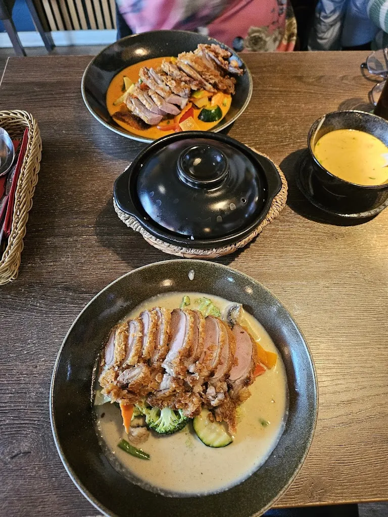 Jennifer K._TAIYO_Wildeshausen_review