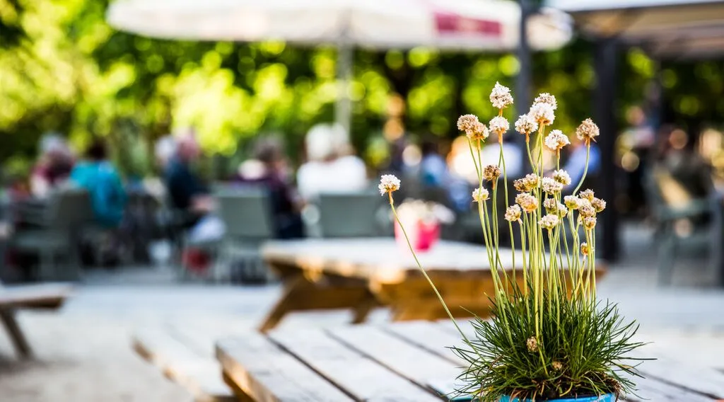 Naturium Bistro & Café Egestorf_Egestorf_slider_image_3