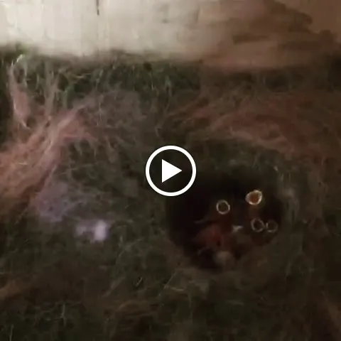 Alter Schmiedehof | Speise- & Schankwirtschaft_Undeloh_slider_image_2