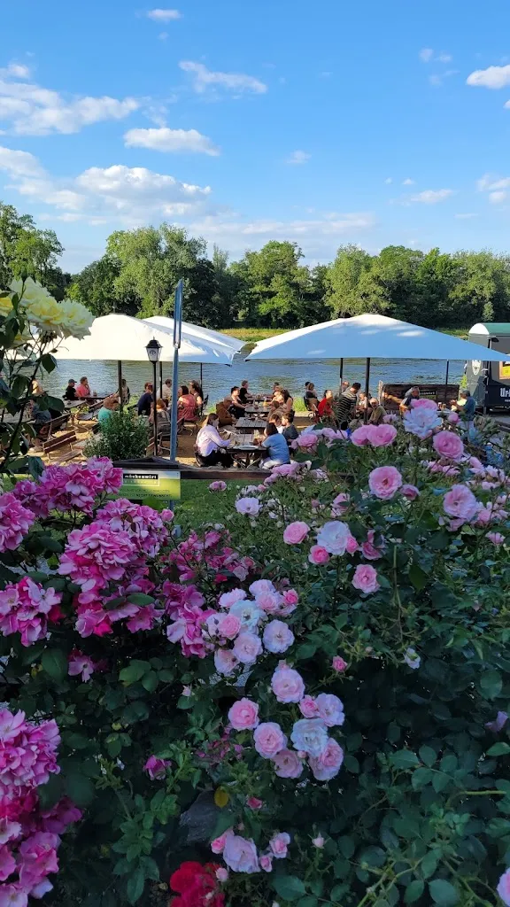 Armand Martin_MückenWirt Biergarten und Restaurant_Magdeburg_review