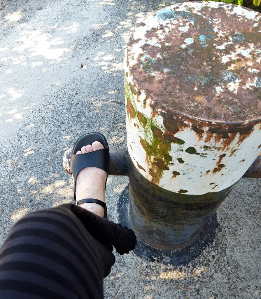 Menu_Panorama_Elsfleth_image_3