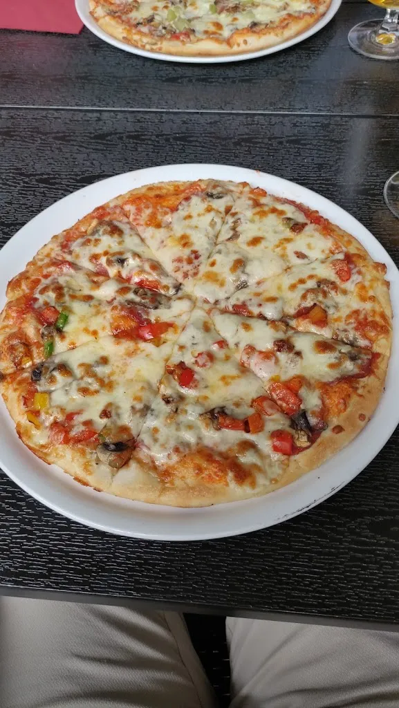 Dietmar Ende_Castelo-Branco Bei Singh_Elze_review